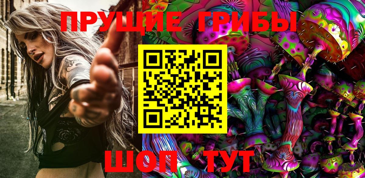 Дубна  Псилоцибиновые грибы Psilocybine cubensis  Вход с VPN 