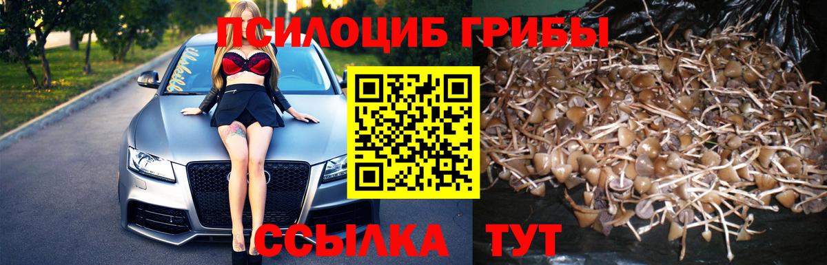 Галлюциногенные грибы мухоморы Дубна
